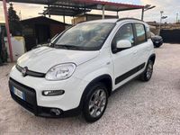 usata Fiat Panda 4x4 0.9 TwinAir Turbo S&S