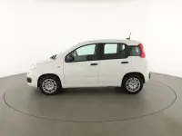 Usata Fiat Panda 69 CV (50 kW) 2025 Bianco Utilitaria