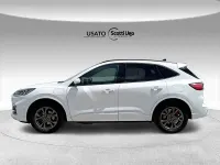 Usata Ford Kuga ST-Line X 225 CV (165 kW) 2023 Bianco SUV