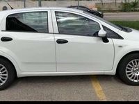 Usata Fiat Punto Lounge 69 CV (50 kW) 2013 Bianco Berlina