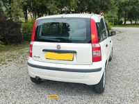 Usata Fiat Panda 2008 Bianco Utilitaria