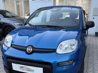 Usata Fiat Panda S 69 CV (50 kW) 2025 Utilitaria