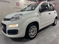 Usata Fiat Panda Easy 69 CV (50 kW) 2015 Bianco Utilitaria