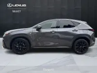 Usata Lexus NX300h Sport Line 309 CV (227 kW) 2022 Grigio SUV