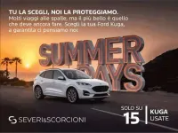 Usata Ford Kuga ST-Line X 224 CV (164 kW) 2020 Grigio chiaro metallizzato SUV