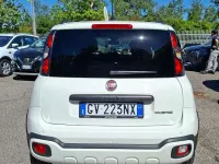 Usata Fiat Panda Cross Cross 69 CV (50 kW) 2024 Bianco Utilitaria