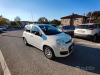 usata Fiat Panda 2ª serie - 2017