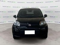 Usata Fiat Panda S 69 CV (50 kW) 2024 Nero seducente (pastello extra Berlina