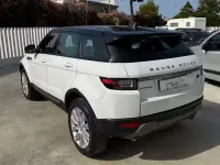 Usata Land Rover Range Rover evoque SE Dynamic 150 CV (110 kW) 2017 Bianco SUV