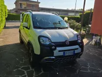 Usata Fiat Panda Cross Cross 90 CV (66 kW) 2015 Bianco Utilitaria