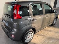 Usata Fiat Panda S 70 CV (51 kW) 2022 Grigio Utilitaria