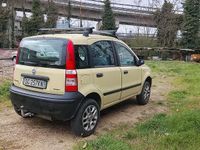 Usata Fiat Panda 2009 Giallo Utilitaria