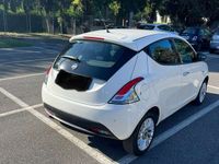 usata Lancia Ypsilon 1.3 mjt Gold s&s 95cv E5+