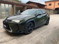 Usata Lexus UX Executive Line 152 CV (111 kW) 2019 Verde SUV