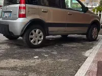 Usata Fiat Panda 4x4 60 CV (44 kW) 2007 Grigio Utilitaria