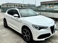 Usata Alfa Romeo Stelvio Veloce 280 CV (205 kW) 2021 Bianco SUV