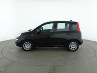 Usata Fiat Panda Icon 69 CV (50 kW) 2025 Nero