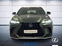 Usata Lexus NX200t Sport Line 309 CV (227 kW) 2023 Verde cargo SUV
