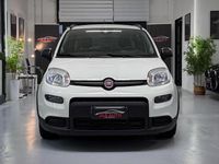 Usata Fiat Panda City Life 70 CV (51 kW) 2021 Bianco Utilitaria