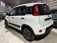 usata Fiat Panda Cross 1.0 FireFly S&S Hybrid City usato