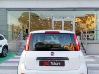 Usata Fiat Panda 4x4 75 CV (55 kW) 2014 Bianco Utilitaria
