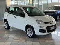 Usata Fiat Panda Easy 84 CV (61 kW) 2018 Bianco Utilitaria