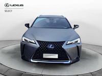 Usata Lexus UX 250h 184 CV (135 kW) 2020 Grigio SUV