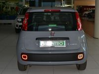 usata Fiat Panda - 1.0 70cv HYBRID