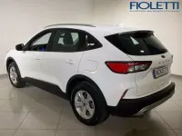Usata Ford Kuga Business Edition 225 CV (165 kW) 2021 Bianco SUV