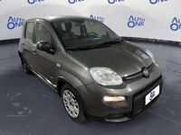 Usata Fiat Panda 69 CV (50 kW) 2022 Grigio Utilitaria