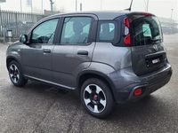 usata Fiat Panda Cross Panda III 2021 1.0 FireFly Hybrid 70cv City - Metallizzata Ibrido - Manuale