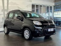 usata Fiat Panda 3ª serie 1.2 Lounge