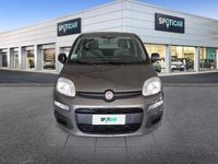 usata Fiat Panda 1.0 FireFly S&S Hybrid