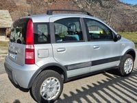 Usata Fiat Panda 4x4 Climbing 59 CV (43 kW) 2007 Argento Utilitaria