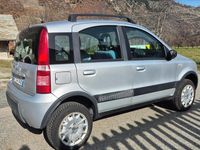 Usata Fiat Panda 4x4 Climbing 60 CV (44 kW) 2007 Argento Utilitaria