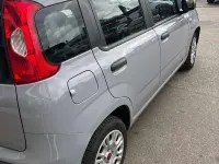 Usata Fiat Panda Easy 95 CV (69 kW) 2018 Grigio Utilitaria