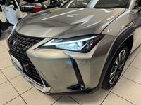 usata Lexus UX Hybrid 4WD F Sport usato