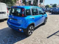 Usata Fiat Panda Cross Cross 69 CV (50 kW) 2022 Blu/azzurro Utilitaria