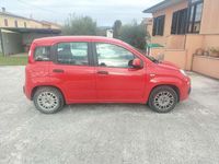 Usata Fiat Panda Easy 95 CV (69 kW) 2017 Utilitaria