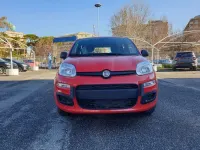 Usata Fiat Panda S 69 CV (50 kW) 2021 Arancio Utilitaria