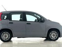 Usata Fiat Panda S 69 CV (50 kW) 2022 Grigio Utilitaria
