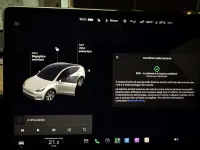 Usata Tesla Model Y 152 kW (208 CV) 2021 SUV