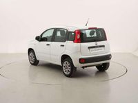 Usata Fiat Panda Easy 86 CV (63 kW) 2018 Bianco Utilitaria