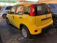 Nuova Fiat Panda S 69 CV (50 kW) 2026 Giallo Berlina