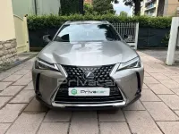 Usata Lexus UX 250h Executive Line 152 CV (111 kW) 2021 Grigio SUV