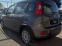 Usata Fiat Panda 69 CV (50 kW) 2022 Utilitaria