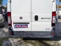 usata Fiat Ducato 2011 (Frigorifero)