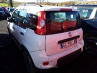 Usata Fiat Panda City Life 71 CV (52 kW) 2021 Bianco Utilitaria