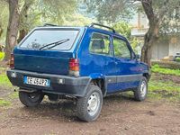 Usata Fiat Panda 4x4 Climbing 54 CV (39 kW) 2003 Utilitaria