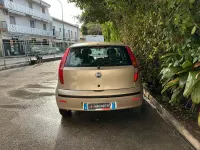 Usata Fiat Punto Active 60 CV (44 kW) 2009 Oro Utilitaria